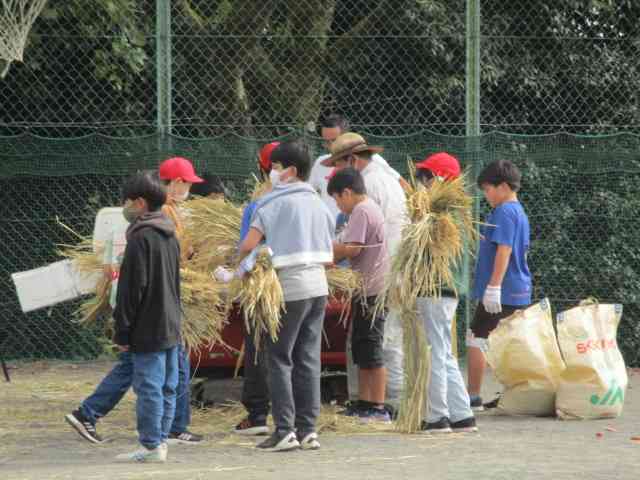 ブログ 相模原市立広陵小学校