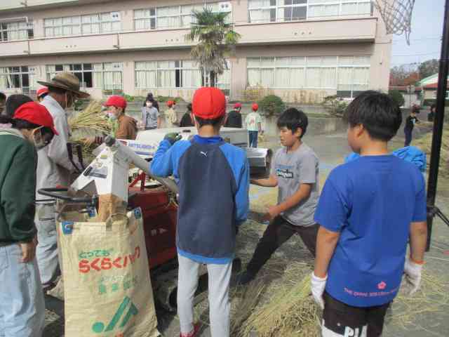 ブログ 相模原市立広陵小学校